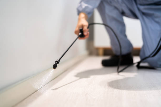Licensed Pest Control service in Kirkland, WA - Show Me Pest Control